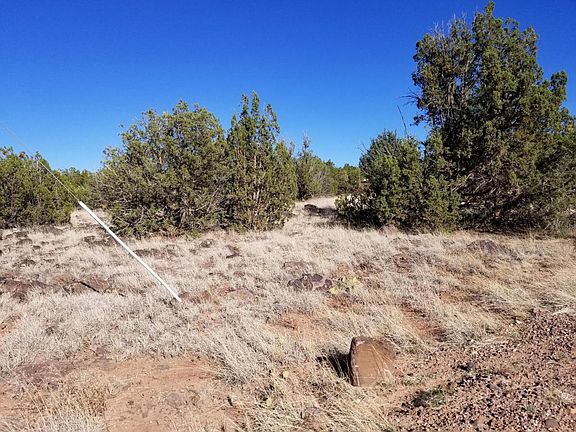 2nd image of 8358 Navajo Dr