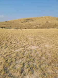 193 Williams Dr, Dillon, MT, 59725