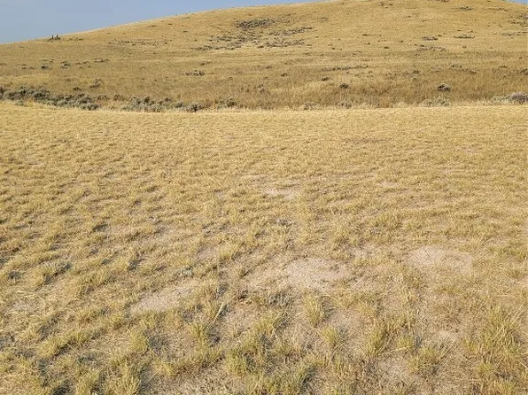 193 Williams Dr, Dillon, MT 59725