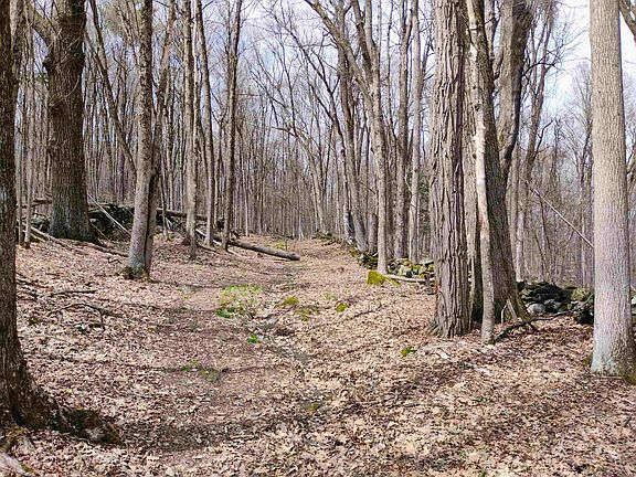 2nd image of Lot 1 Faraway (Jones) Road