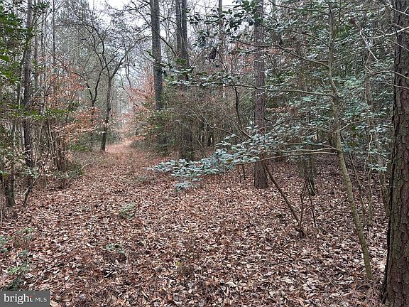 5th image of 0 Whitesburg Rd