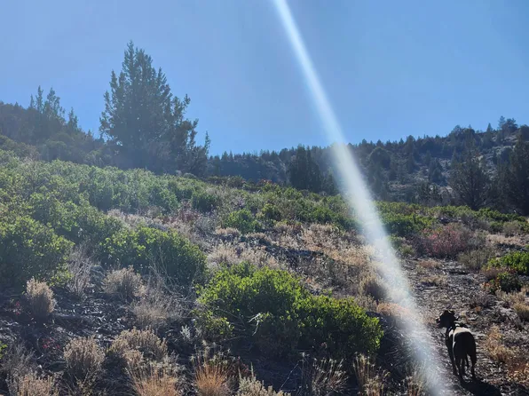 114 Acres Hwy #97, Montague, CA 96064