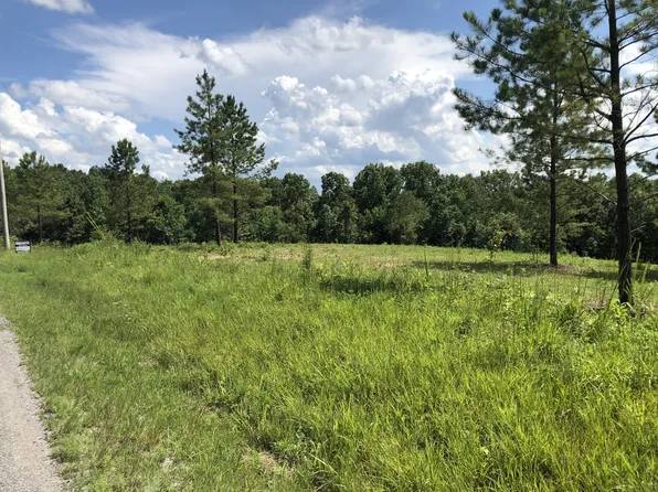 0 Firetower Rd, Hohenwald, TN 38462