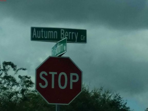 5th image of 6389 Autumn Berry Cir