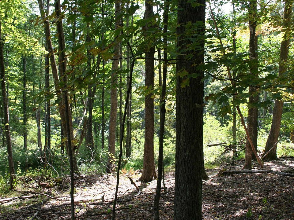 2 Highland Tpke, Monterey, VA 24465 Zillow