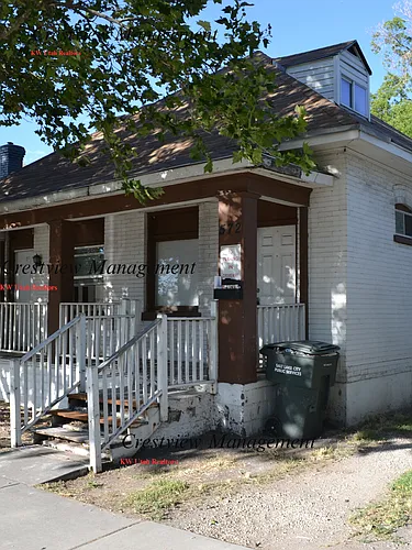 Roche Duplex Photo 1