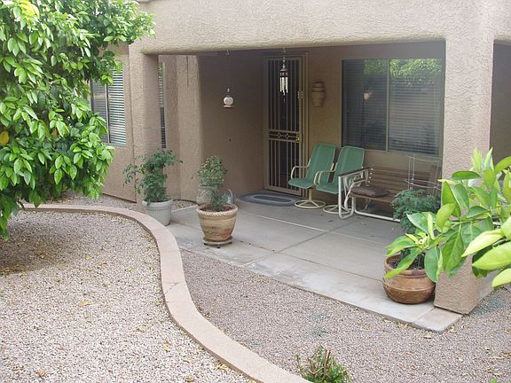 Very Private Back with Citrus Trees