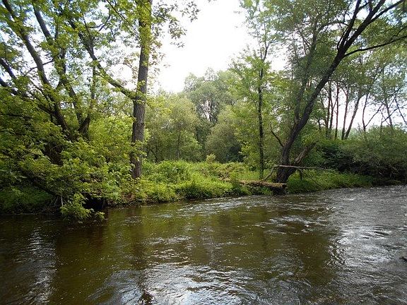 3rd image of 859 State Highway 334