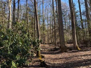 Black Bear Trl #26, Newland, NC 28657
