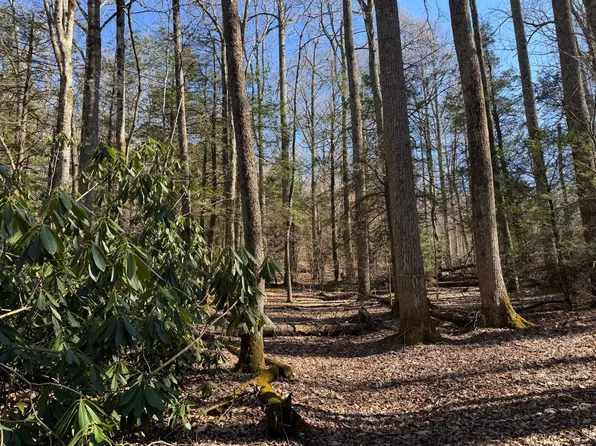 Black Bear Trl #26, Newland, NC 28657