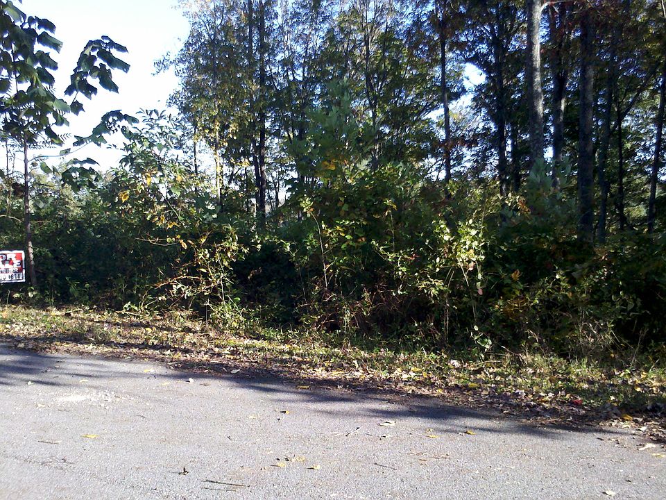 2nd image of Cheri Ln