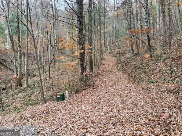 2 White Oak Frst, Hiawassee, GA 30546