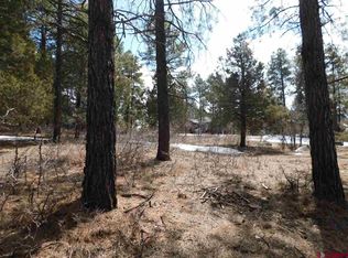 59 Woodland Dr, Pagosa Springs, CO 81147