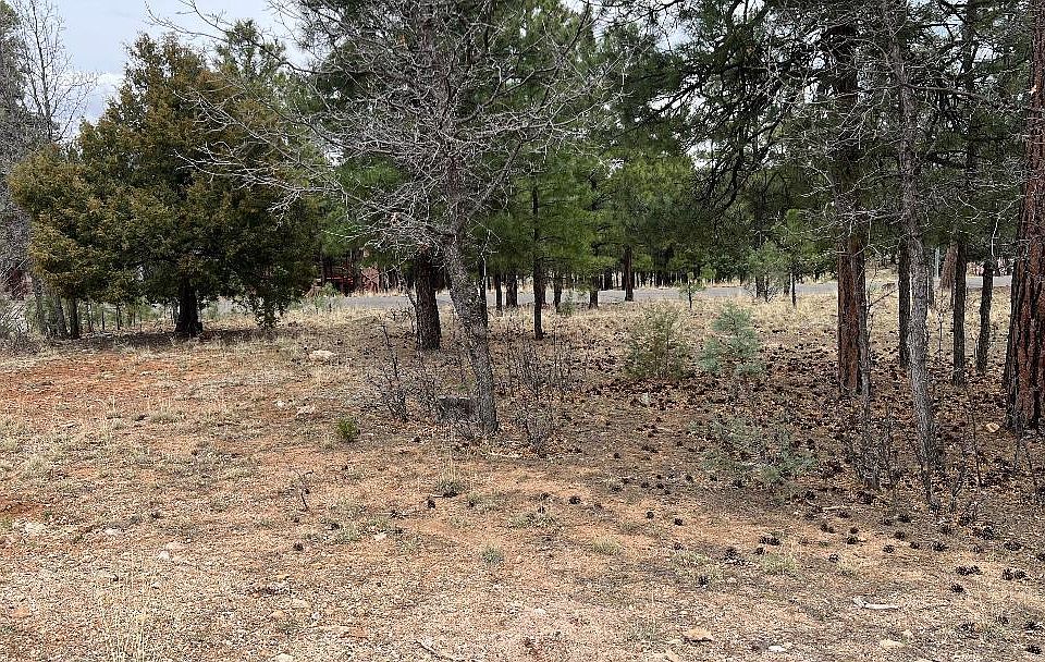 1st image of 2755 Javalina Cir
