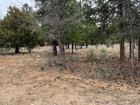 2755 Javalina Cir, Happy Jack, AZ 86024