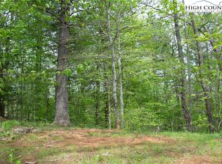 Sharon Sweeney Ln, Crumpler, NC 28617