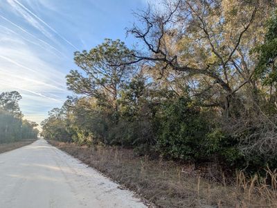 Lots 17 & 18 286th Ter, Branford, FL, 32008