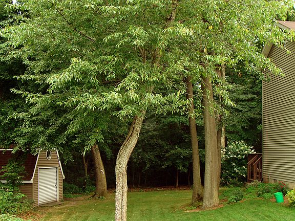 Lot sits on Cu-ldu-sac