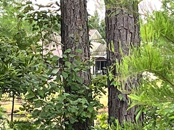 2nd image of 143 Prospect Church Rd