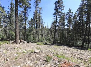 1308 Geronimo Street, Cloudcroft, NM 88317