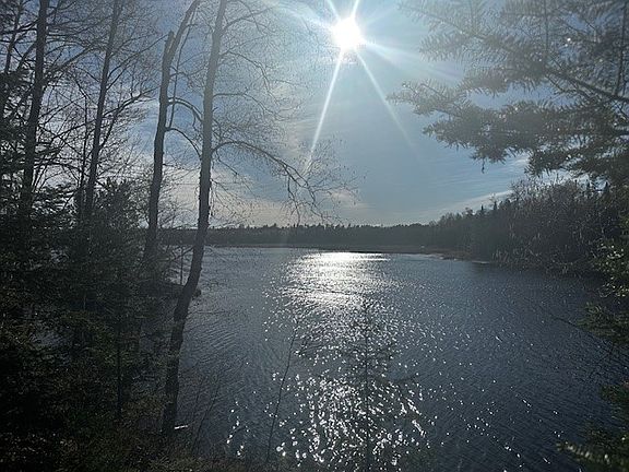 5th image of Lot 3 Canvasback Lane