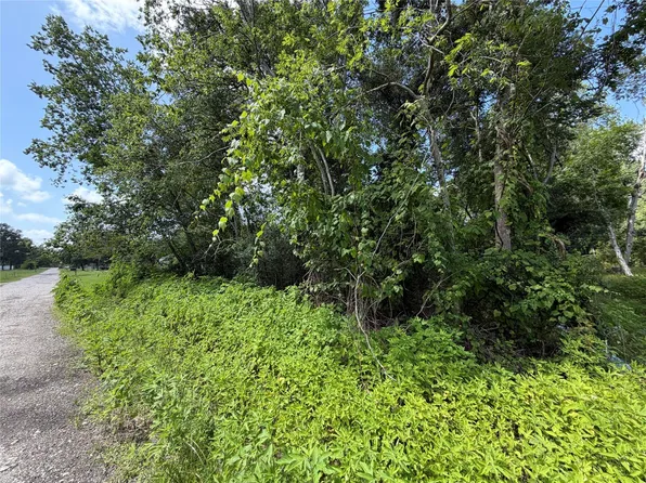 LOT 97 Lost Forest Dr Lot 97, Guy, TX 77444