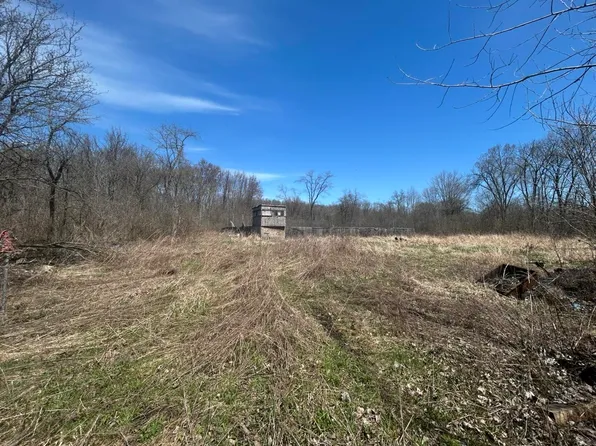 0 Peckins Rd, Chelsea, MI 48118