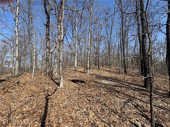 4th image of Rochester Dr #1
