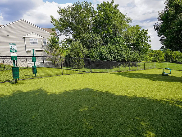 Bark Park