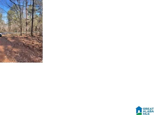 Pluto Cir #21, Alpine, AL 35014