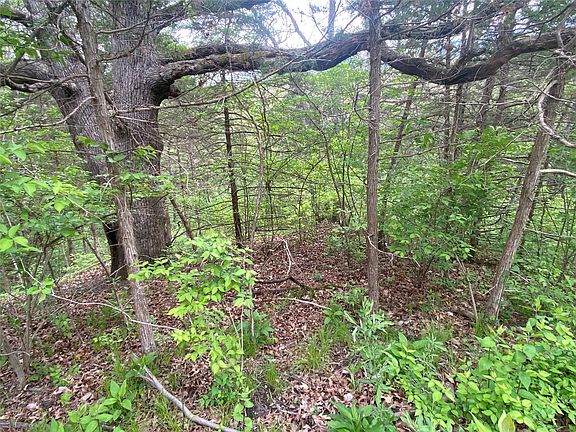 2nd image of 6912 Panorama Rd