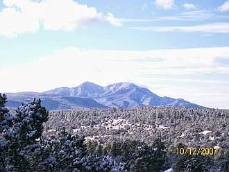 view from front window