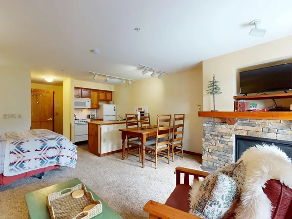 253 Rimfire Ldg, Snowshoe, WV 26209