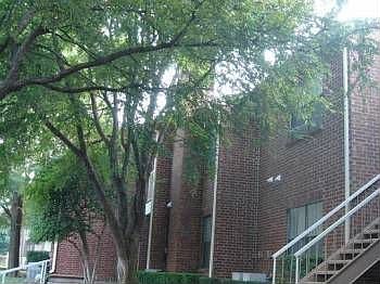 3rd image of 3245 Donnelly Cir APT 1009
