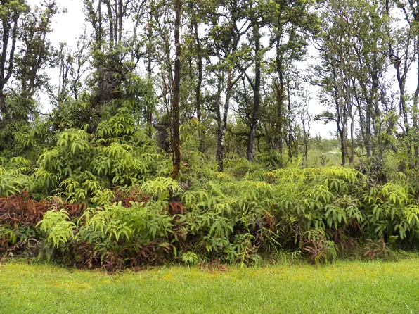 Maile St Lot 23, Mountain View, HI 96771