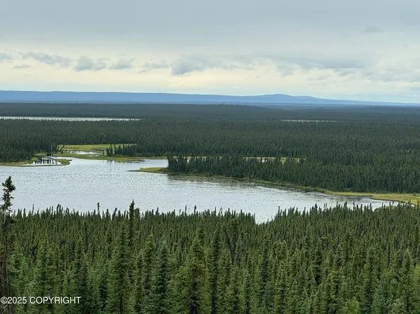 L2 Lou Anne Ln, Gakona, AK 99586