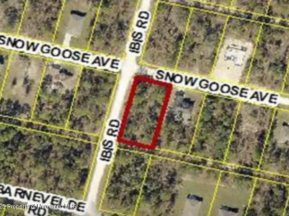 15282 Ibis Rd, Weeki Wachee, FL 34614