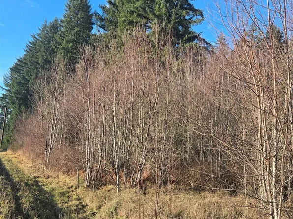 0 Clinton Road, Chehalis, WA 98532