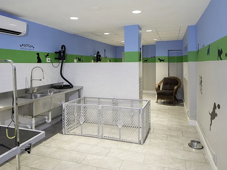 Pet Grooming Station