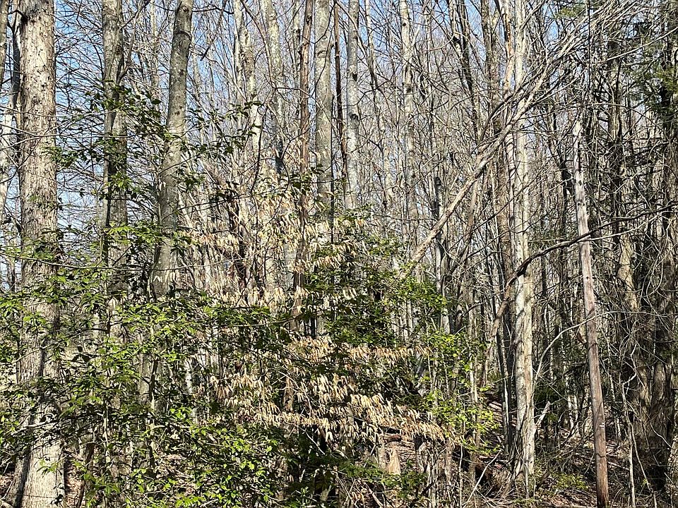 2nd image of 878 Lower Collison Rd