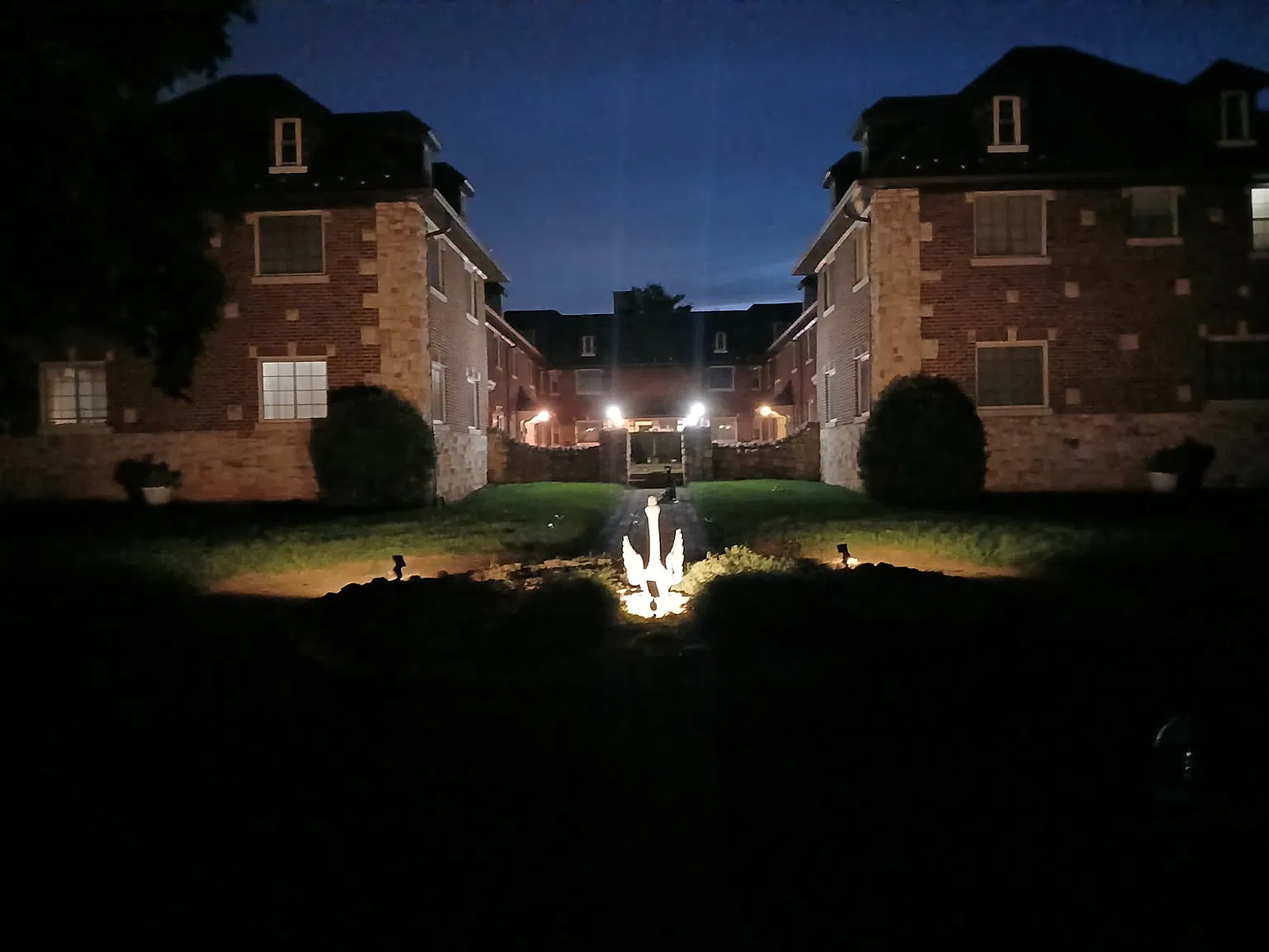 1 bed, $900 — Photo 2