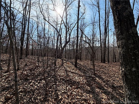 5th image of Copperhead Holler