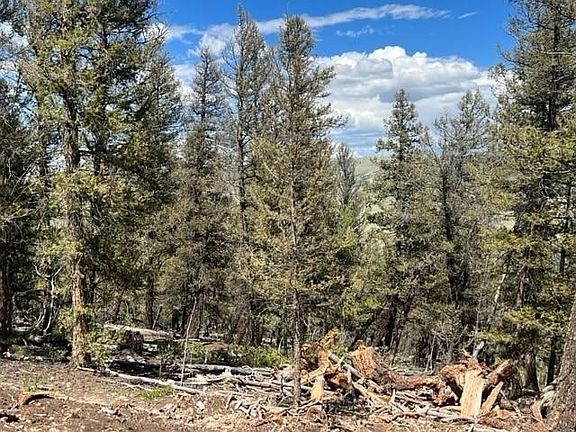 3rd image of 3006 Middle Fork Vista