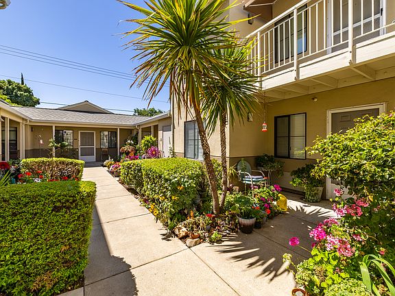 Enjoy garden-style living with open walkways, palm trees, and neatly manicured lawns.