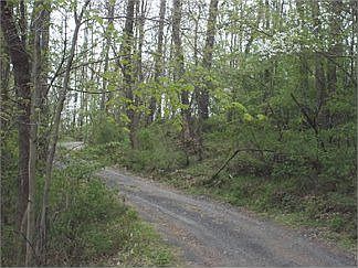 3rd image of 200 Bird Ln