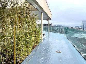 Rented by Viza Group, Inc