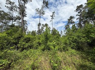 Kelly Rd, Thicket, TX 77374