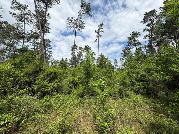Kelly Rd, Thicket, TX 77374