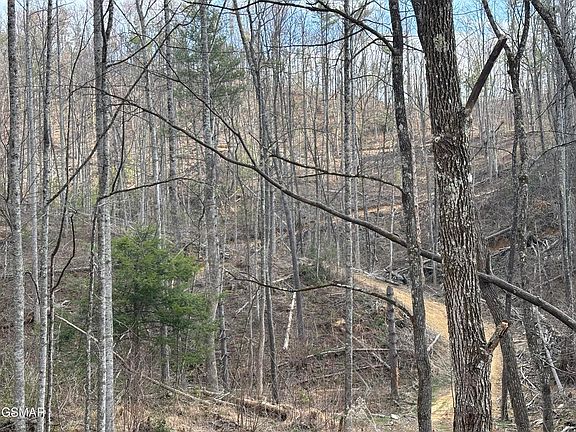 4th image of TRACT 2 Bull Mountain Rd