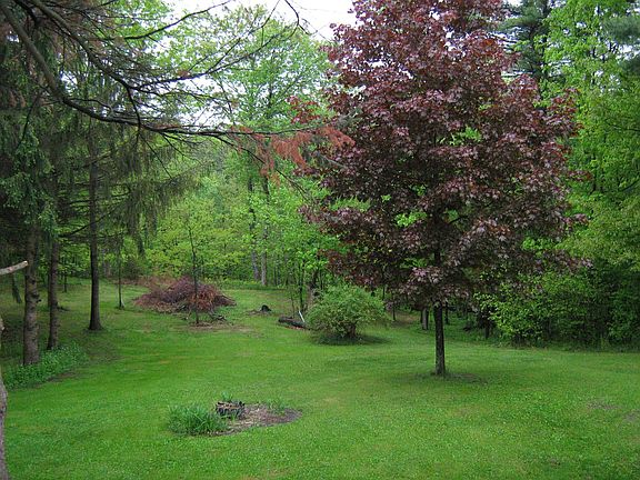 Backyard, now has a pool